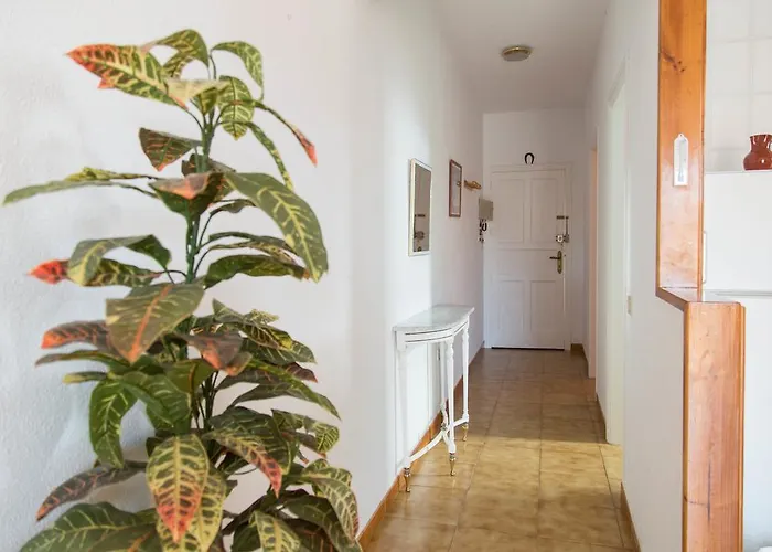 Vistas Playa de las Americas (Tenerife)